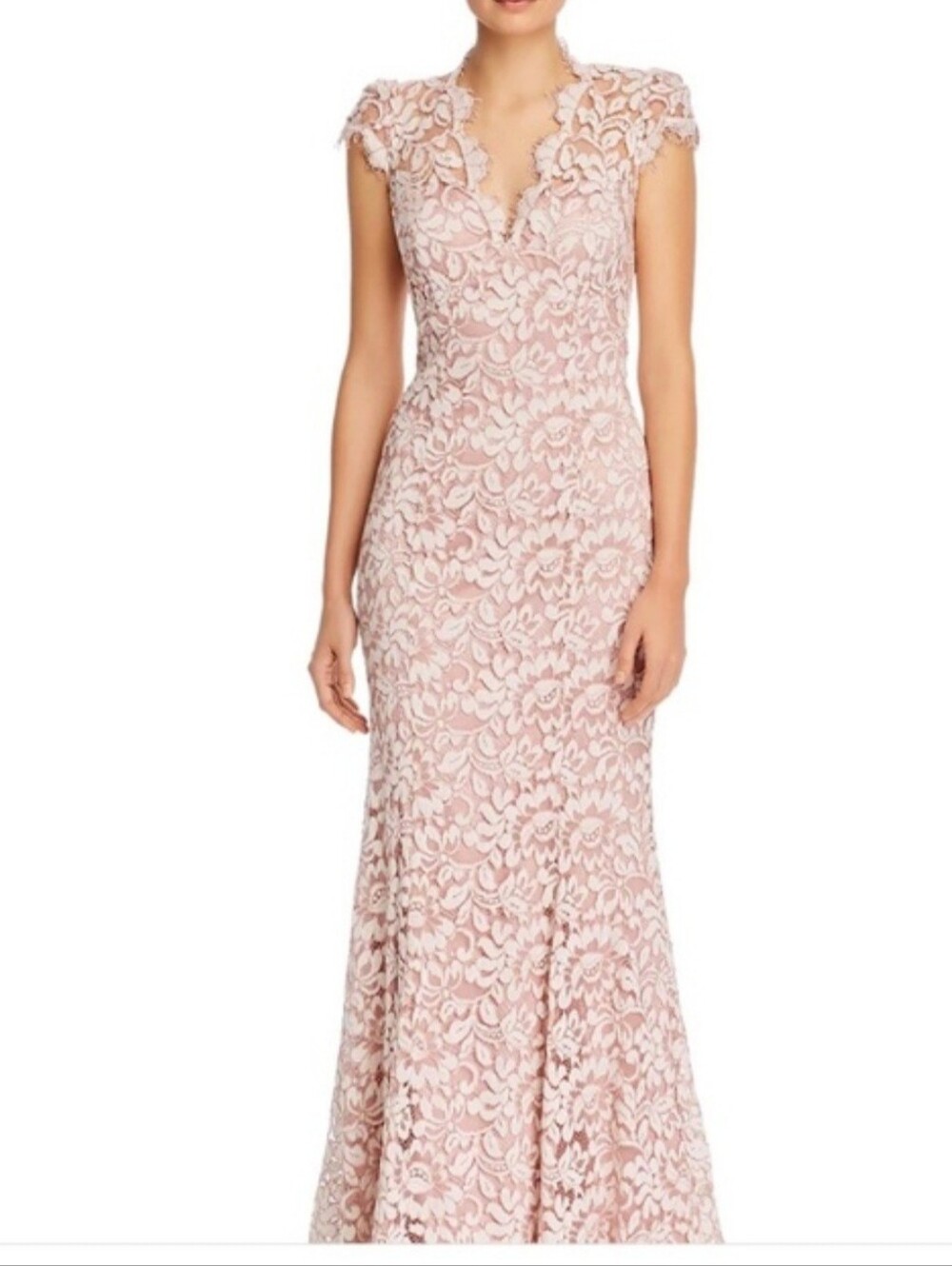 Eliza J Blush Lace Cap-Sleeve Maxi Dress
